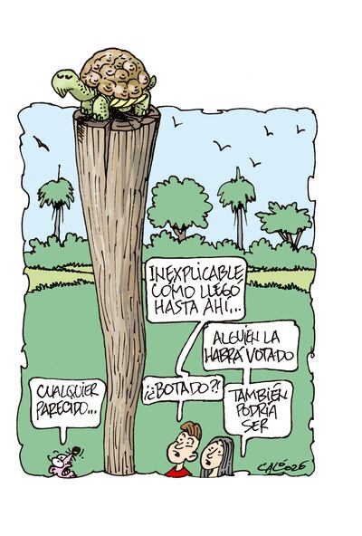 Humor