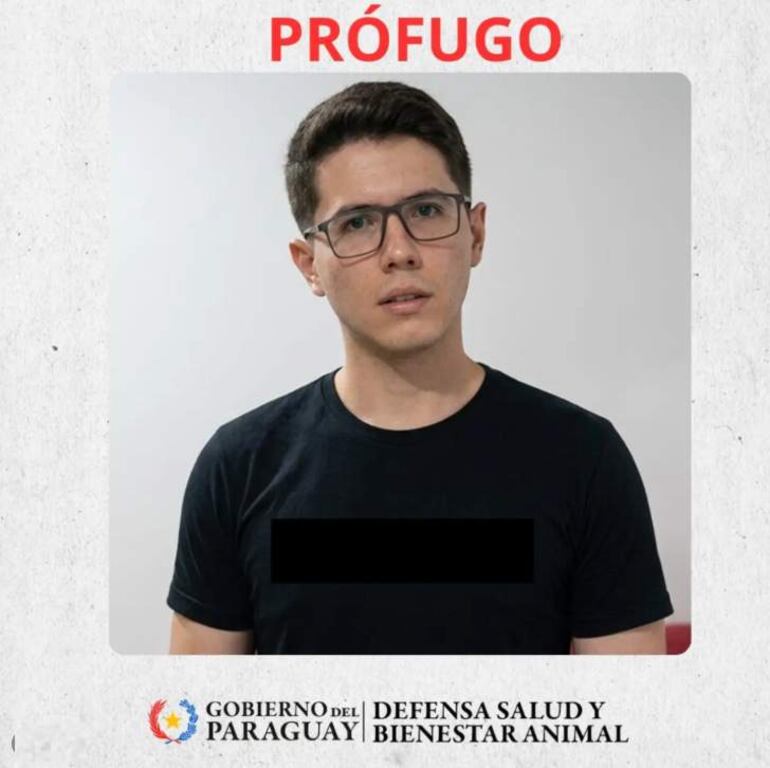 Presidente Franco: imputan a joven por matar al gato de su expareja y piden su rebeldía