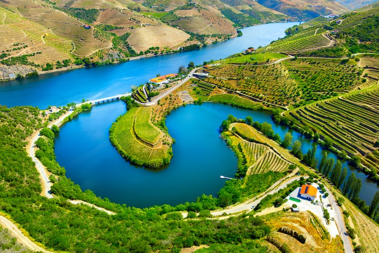 Vista aérea de las terrazas de los viñedos del Duero, Portugal.