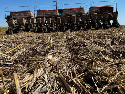 Se espera que el cultivo de soja abarque alrededor de 870,000 hectáreas en el décimo departamento.