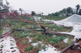 Paisaje dañado con estructura metálica colapsada y plásticos esparcidos en terreno agrícola en un ambiente nublado.