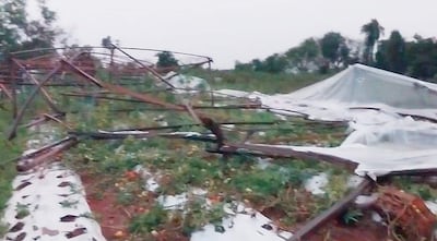 Paisaje dañado con estructura metálica colapsada y plásticos esparcidos en terreno agrícola en un ambiente nublado.