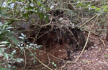 Imágenes de archivo del campamento donde Óscar Denis y Adelio Mendoza habrían estado durante los primeros días del secuestro, según el relato de los familiares.