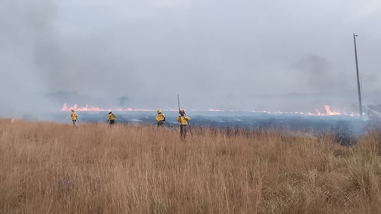 Los bomberos de San Roque González siguen combatiendo incendio de pastizales en zona de Cerrito.