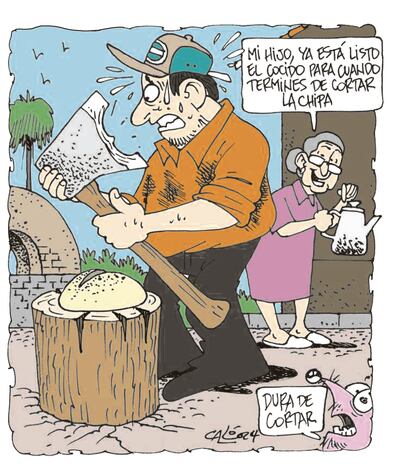CORTE