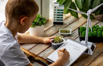 Concepto de Educación ambiental.