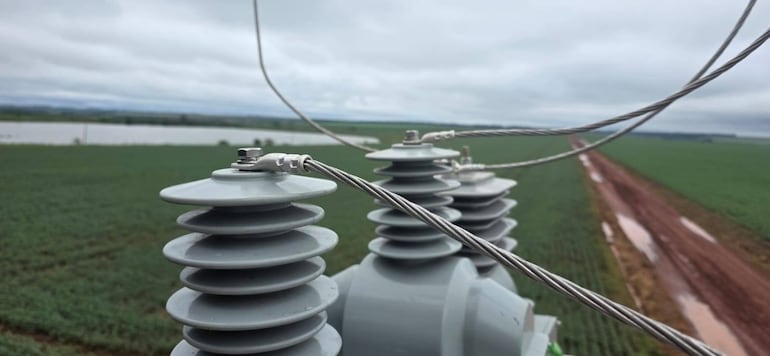 ANDE intervino conexión eléctrica irregular de una agropecuaria en Caaguazú.