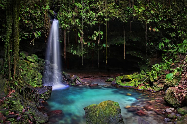 Emerald Pool en el Parque Nacional Morne Trois Pitons, sitio patrimonio de la UNESCO, Dominica.