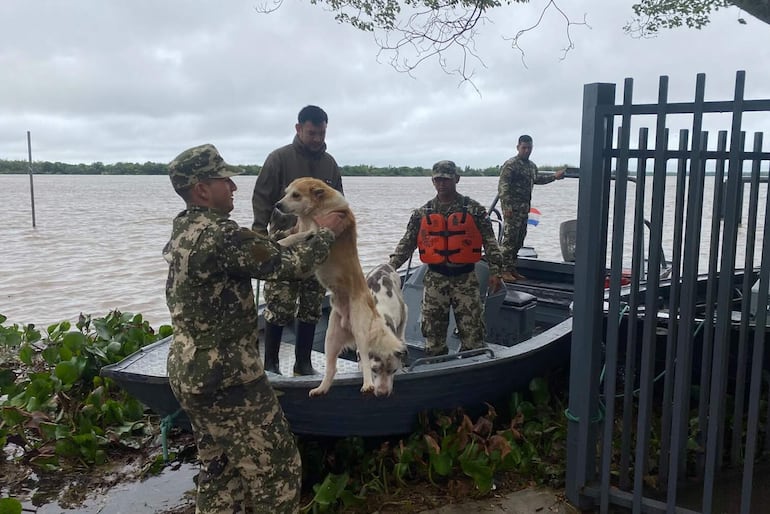 Fotografía cedida por el Ministerio de Defensa de Paraguay que muestra soldados del Ejército Paraguayo evacuando un perro por la crecida del Río Paraná este miércoles, en Ciudad del Este (Paraguay).