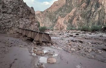 PARQUE NACIONAL DEL GRAN CAÑÓN, 31/08/2026.- Fotografía publicada por Grand Canyon National Park en su cuenta oficial de Facebook que muestra los daños tras las inundaciones repentinas en el Parque Nacional del Gran Cañón con 15 desaparecidos y decenas de evacuados. EFE/ Grand Canyon National Park **SOLO USO EDITORIAL/SOLO DISPONIBLE PARA ILUSTRAR LA NOTICIA QUE ACOMPAÑA (CRÉDITO OBLIGATORIO)***