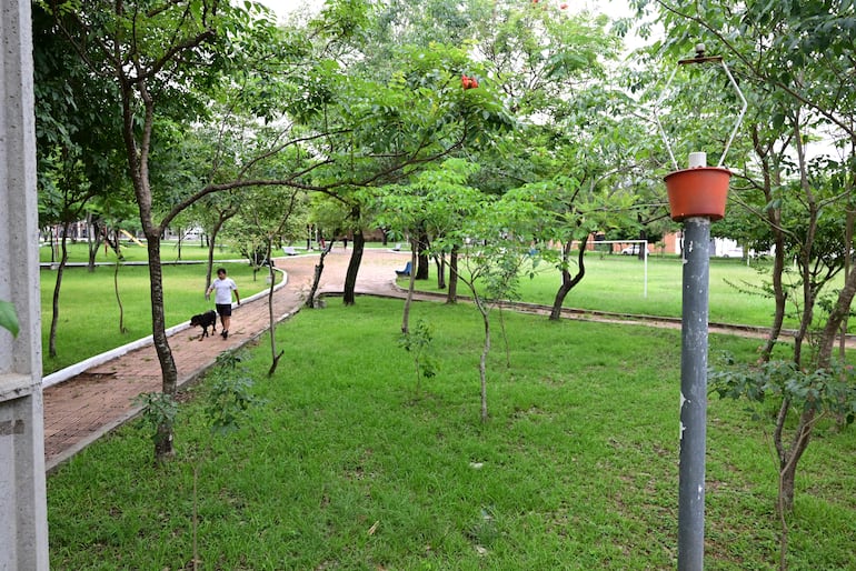 La iluminación de la plaza María Auxiliadora requiere urgente intervención de la Municipalidad de Asunción.