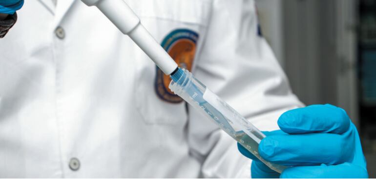 Realizan estudio científico sobre la marihuana en Paraguay, a través de los laboratorios de la Secretaría Nacional Antidrogas (SENAD).