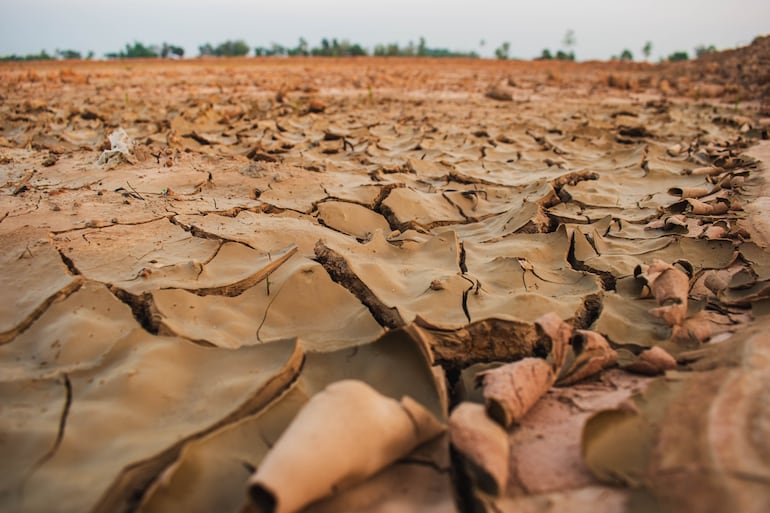 Concepto de sequía y desertificación.