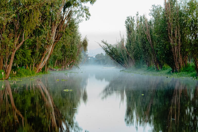 Río Cuemanco, Xochimilco, México.
