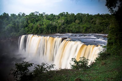 Cascada de agua en tonos blancos y marrones, rodeada de abundante vegetación tropical en un entorno natural.