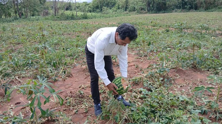 Mucha pérdida agrícola tras temporal y poca respuestas de las autoridades