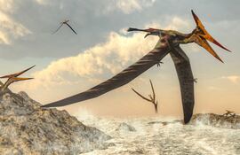 Pteranodon, imagen ilustrativa.