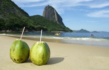 Agua de coco en una playa de Brasil.