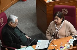 Esperanza Martínez de Portillo, con suéter claro y pañuelo, habla inclinada hacia adelante en un ambiente legislativo.