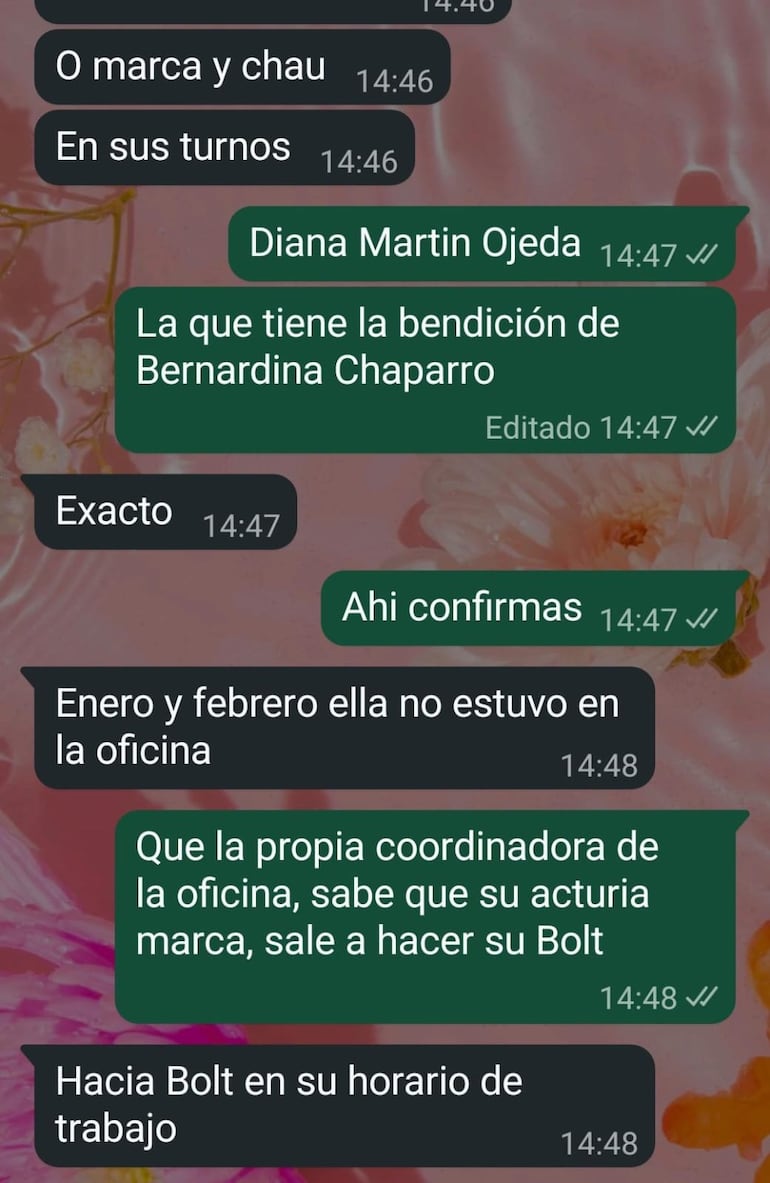 Esta captura de mensajes se viralizó en las redes sociales, luego del video de las funcionarias judiciales en una supuesta sesión de belleza en el Palacio de Justicia de San Lorenzo.