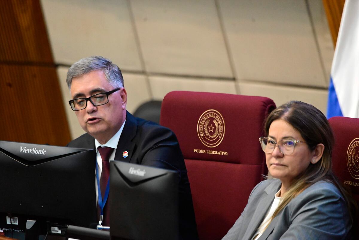 Titular de ANDE dice que no hace falta ente regulador y rechaza dividir la estatal en seis empresas
