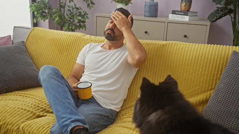 ¿Estrés canino o “mal comportamiento”?