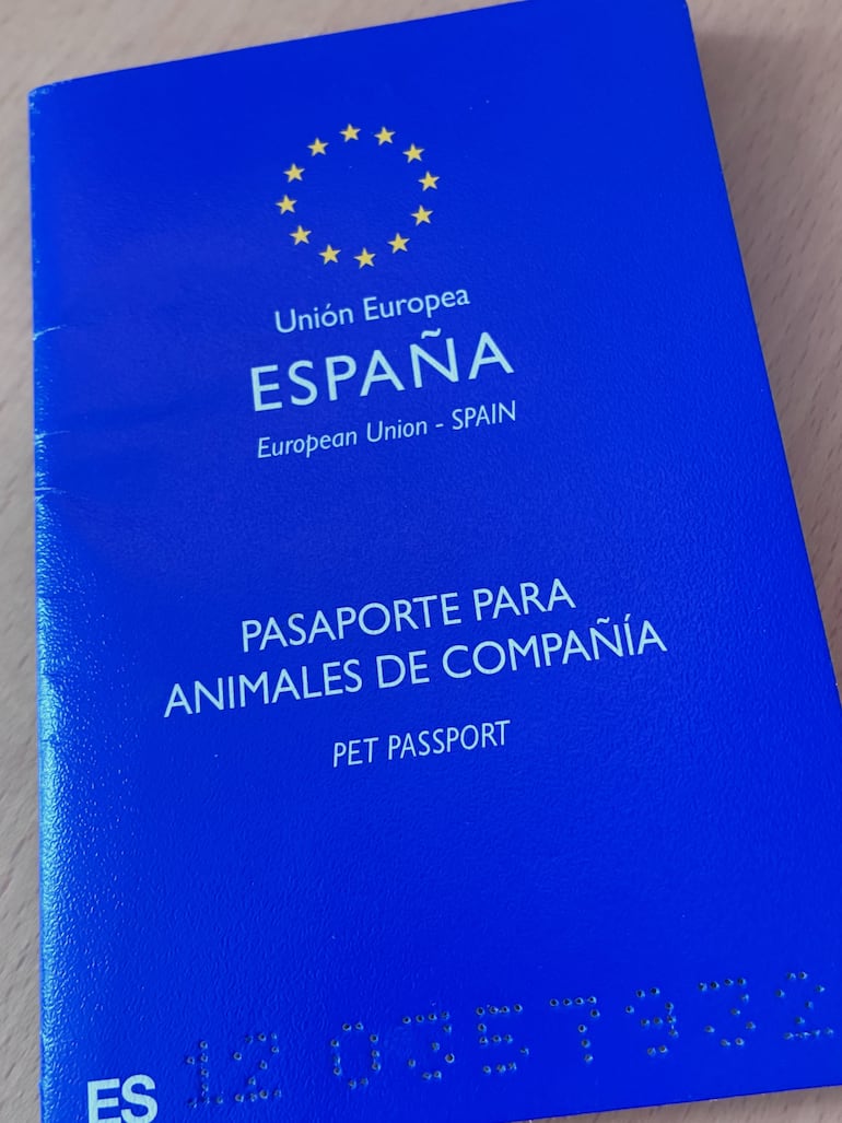 El pasaporte de Bowie, perro del cineasta Marcelo Martinessi. (Instagram/Marcelo Martinessi)