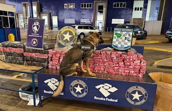 Perro K9 de la Receita Federal sentado en una mesa, rodeado de paquetes envueltos en plástico rojo y negro.