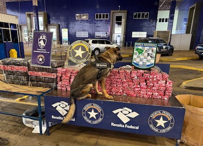 Perro K9 de la Receita Federal sentado en una mesa, rodeado de paquetes envueltos en plástico rojo y negro.