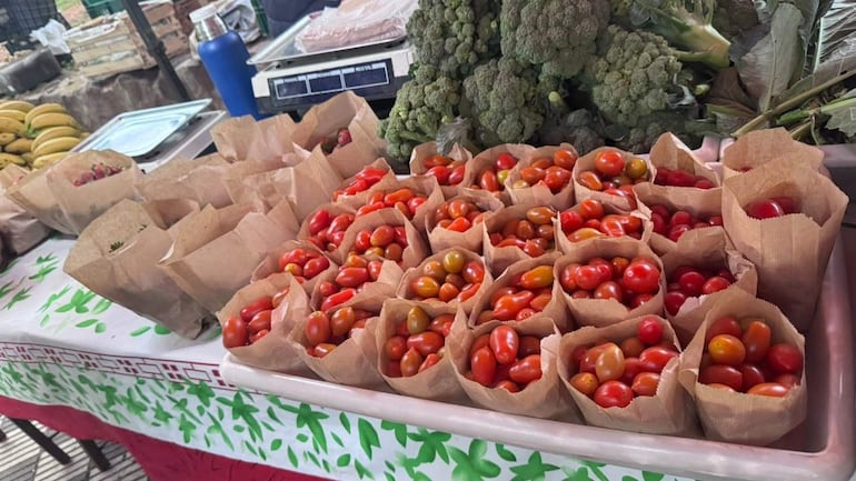 Bolsas de papel con tomates cherry de colores y brócoli fresco en mesa cubierta con mantel de hojas verdes.