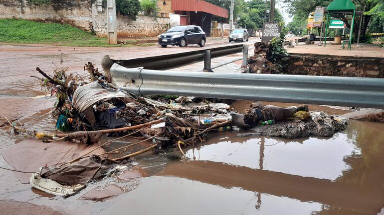 Gran cantidad de basura y ramas fueron arrastradas por el temporal de ayer sobre la avenida Pratt Gill de Ñemby.
