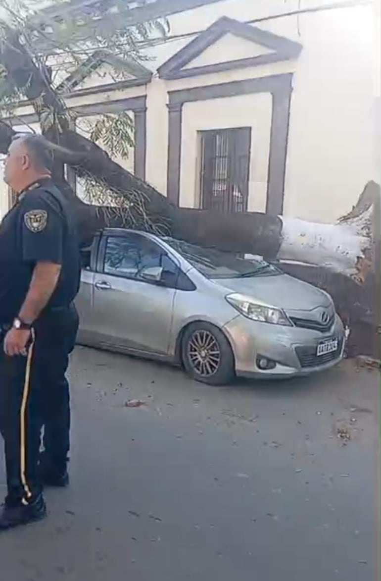En la tarde de ayer reportaron la caída de un árbol sobre un vehículo en la ciudad de San Lorenzo.
