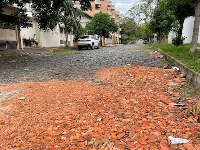 Calle adoquinada con fragmentos de cerámica roja, vehículos estacionados y árboles que brindan sombra.