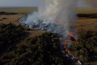 Incendio en el Parque Nacional de Iberá, Argentina. El fuego, provocado por actividad humana, consumió millones de hectáreas en todo el mundo.
