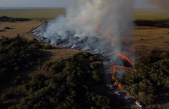 Incendio en el Parque Nacional de Iberá, Argentina. El fuego, provocado por actividad humana, consumió millones de hectáreas en todo el mundo.