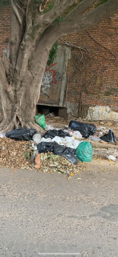 Acumulación de basura y hojas.