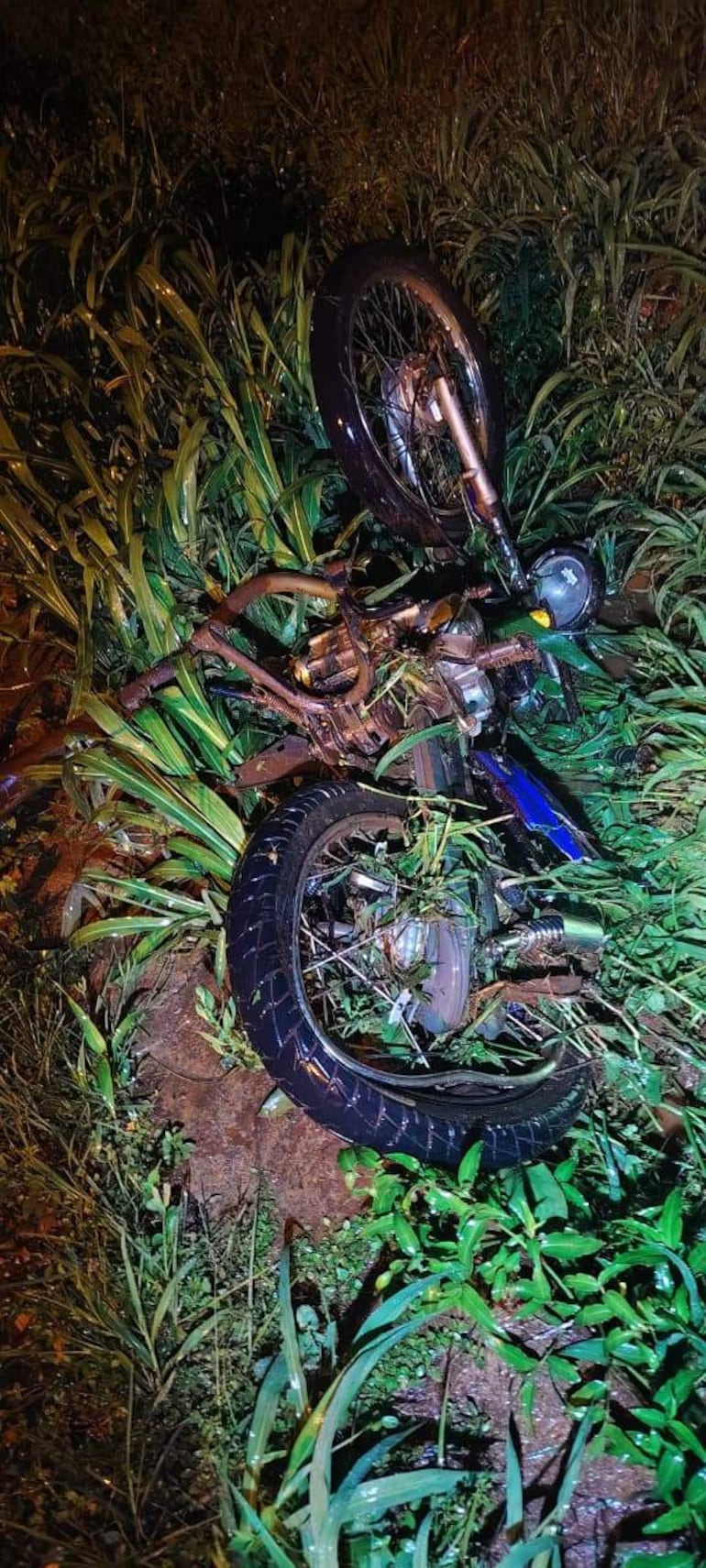 Motocicleta caída y dañada sobre la hierba, parcialmente cubierta de vegetación, en un camino exterior.
