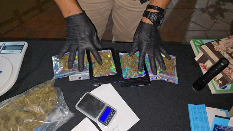 Incautan drogas y equipos de cultivo indoor tras allanamiento en Asunción
