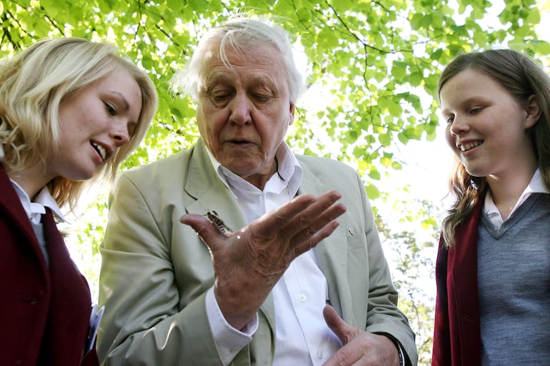 El presentador y naturalista británico David Attenborough observa una polilla junto a escolares en el London Zoo, el 2 de mayo de 2007.