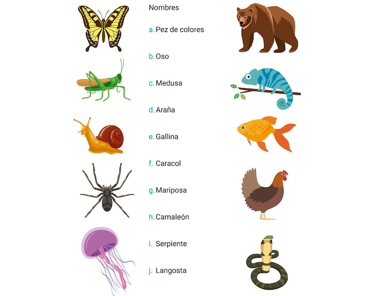 /pf/resources/images/abc-placeholder.png?d=2425