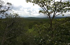 Guardaparques buscan a persona desaparecida en el Parque Nacional Defensores del Chaco