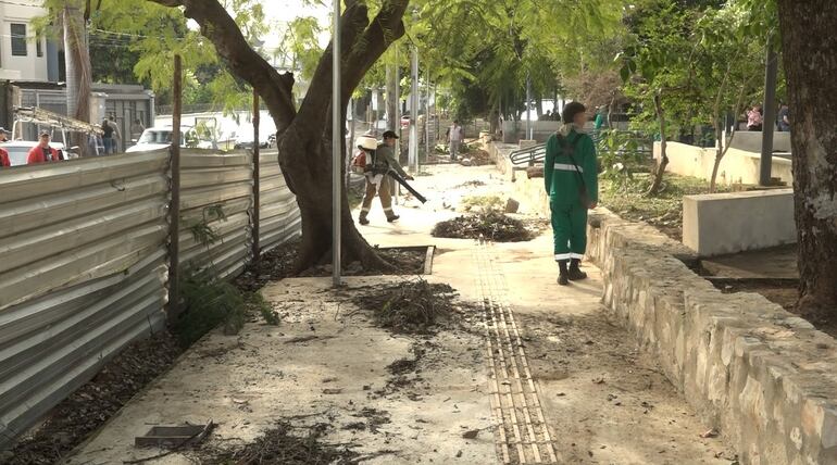 Limpieza de plaza Naciones Unidas