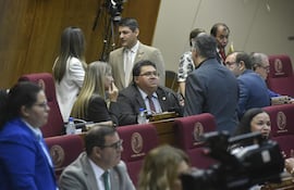 La mayoría cartista en Diputados aprobó mínimas modificaciones ya que mantienen los privilegios. El texto base fue el proyecto del cartista Domingo "Mino" Adorno (centro).