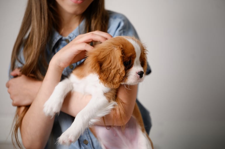 Perro con su humana.