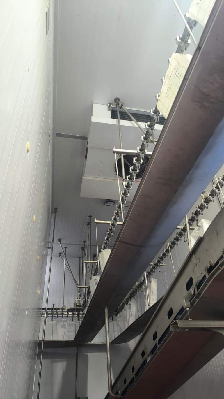 Entorno industrial en planta de procesamiento de pollos, con cintas transportadoras y estructura metálica visible.