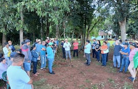 Soja en Independencia