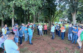 Soja en Independencia