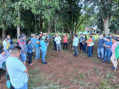 Soja en Independencia