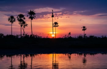 Concepto de humedales.