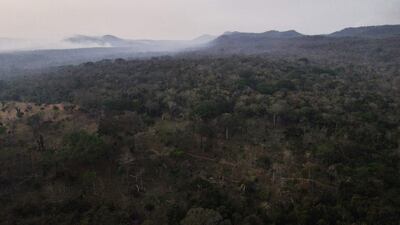 Fotografía de un incendio forestal, este domingo en San Javier (Bolivia). La lucha contra los incendios forestales en la región de la Chiquitania de Bolivia se extiende hasta por 72 horas seguidas para algunos comunarios, bomberos y trabajadores de propiedades rurales.